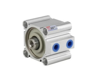 Collection image for: cq2-thyc79